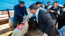 Belediye Başkanı Rasim Arı, Nevşehir Hayvan Pazarını Ziyaret Etti