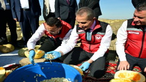 Nevşehir’de Kabak Çekirdeği Hasadına Katılım Sağlandı